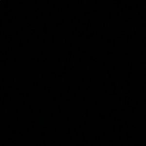 Meet your Posher, Ricardo